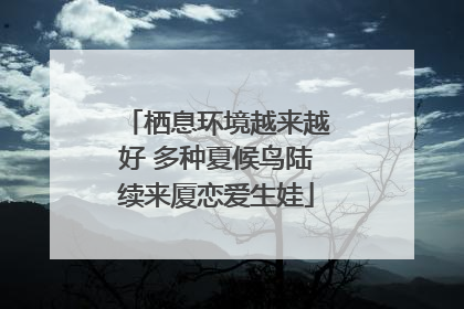 栖息环境越来越好 多种夏候鸟陆续来厦恋爱生娃